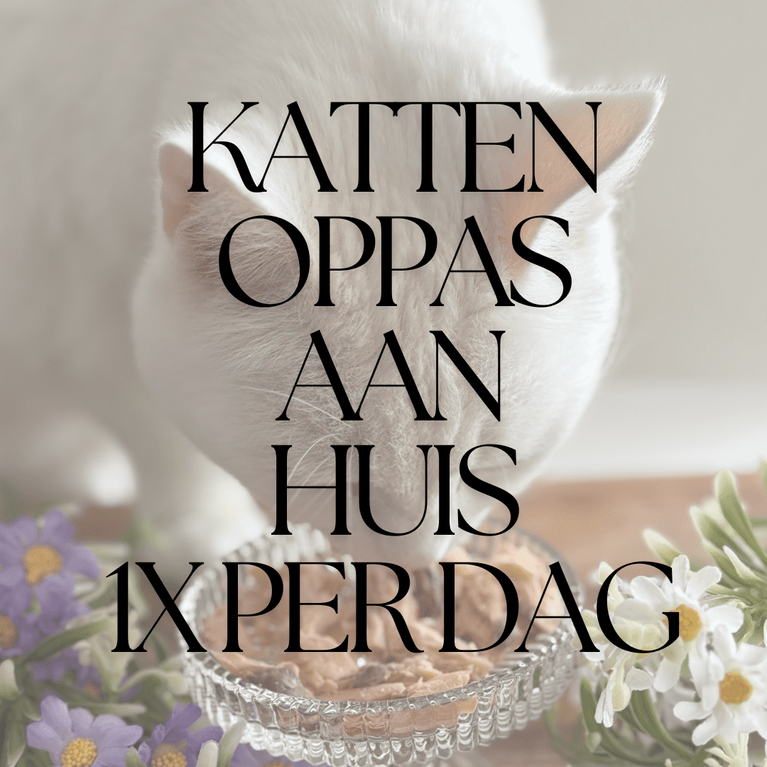 1x per dag