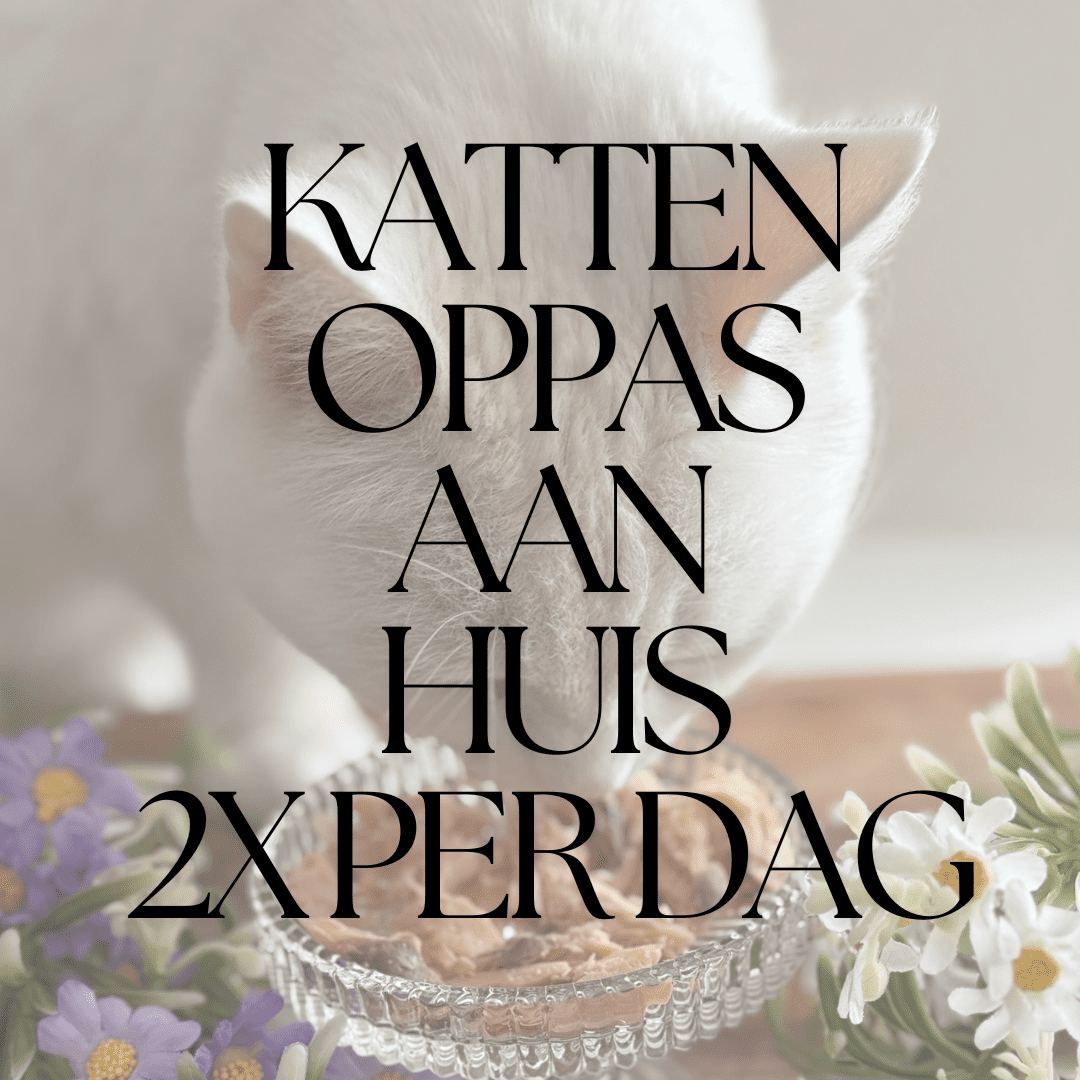 2x per dag